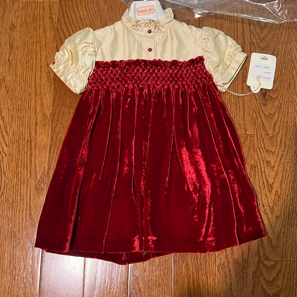 Stunning silk with velvet Dress